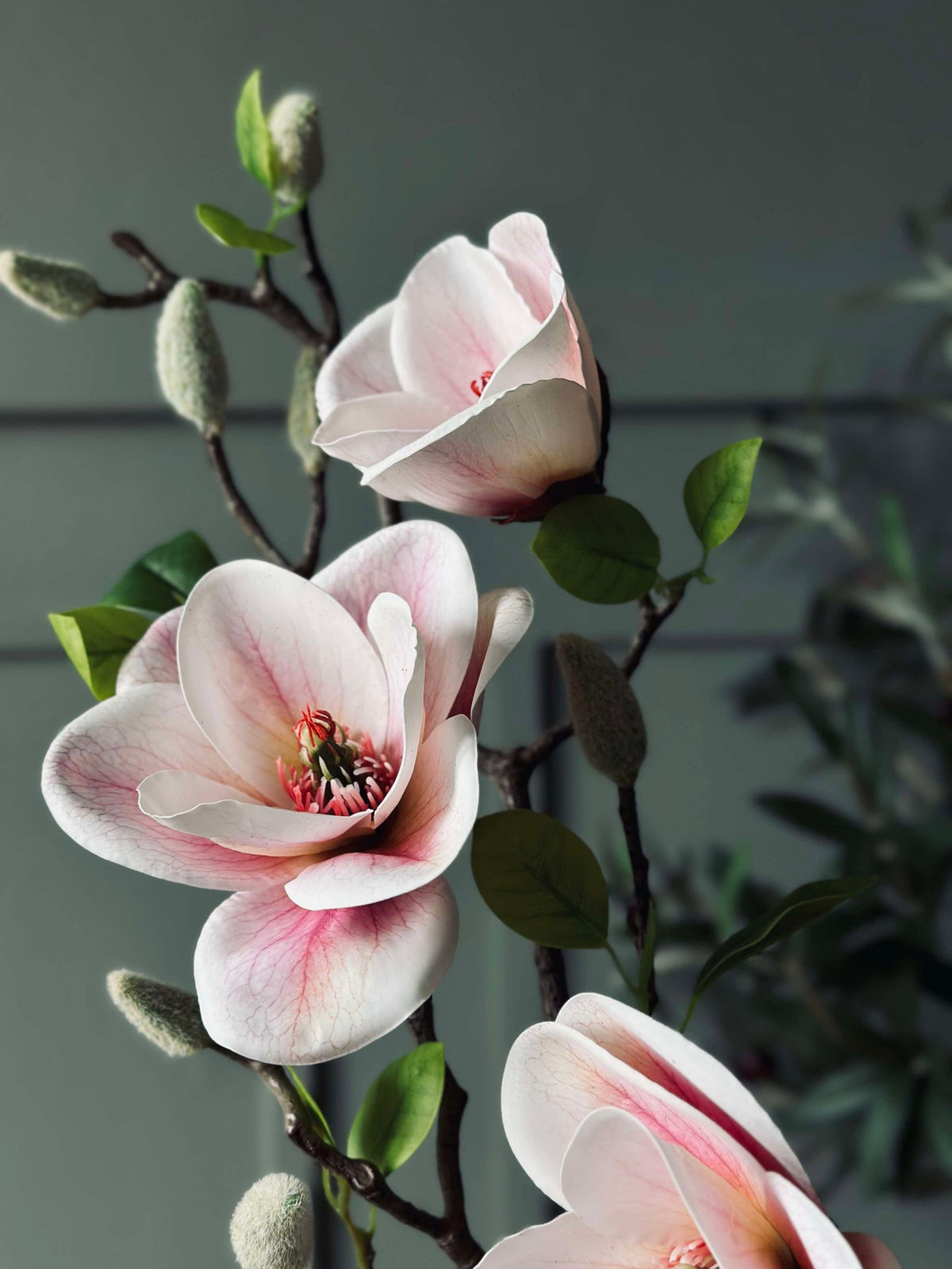 Fleur Magnolia - Rose