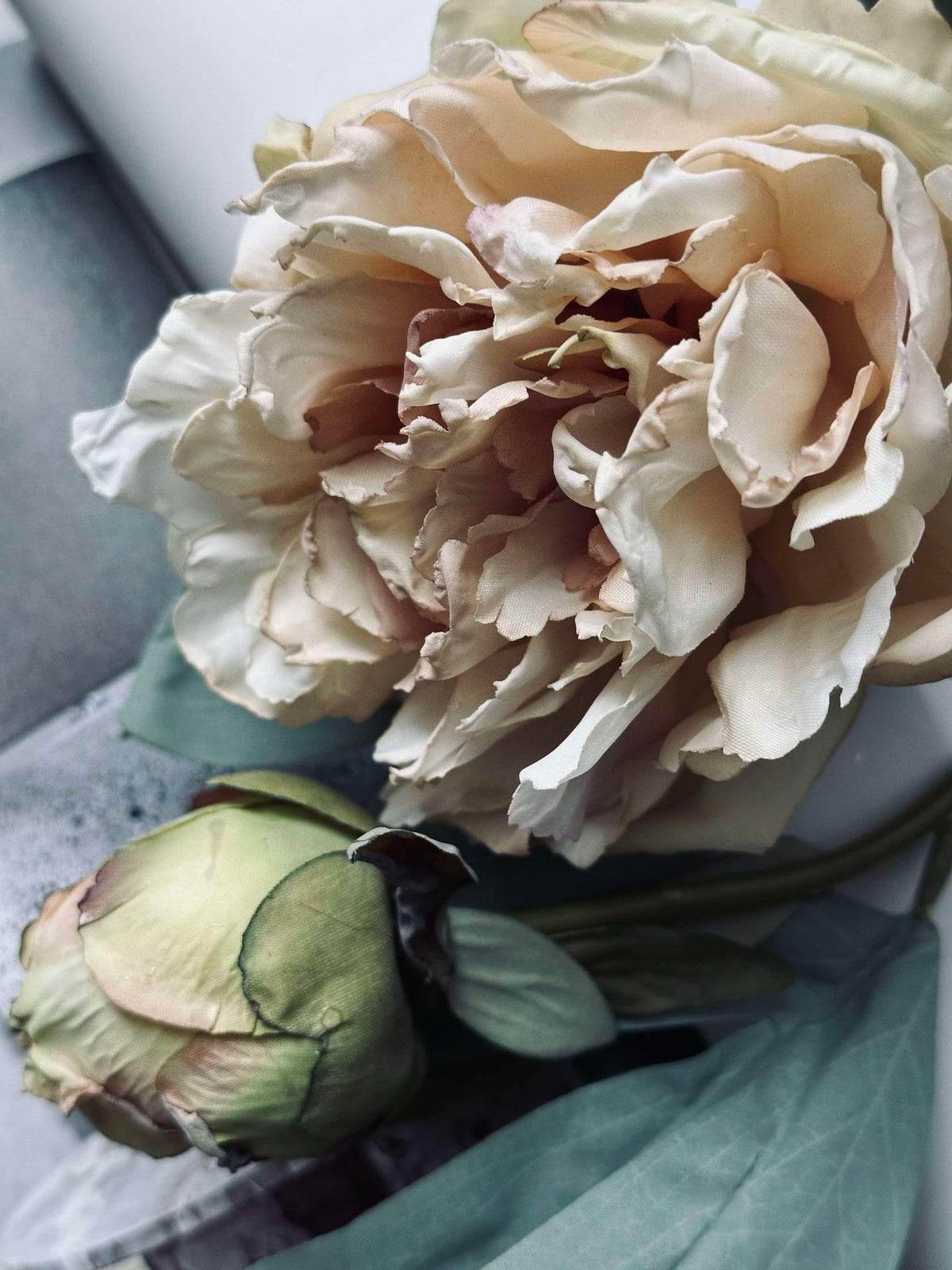 Fleur Pivoine Crème