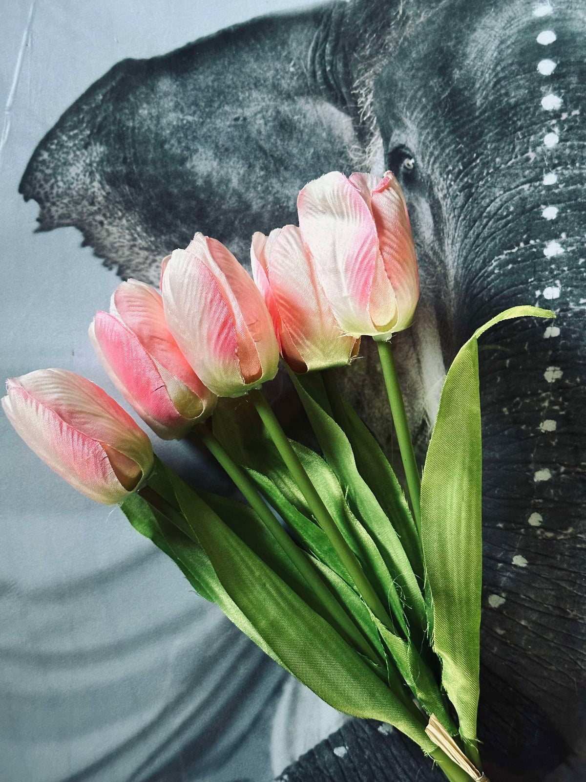 Tulipes rose