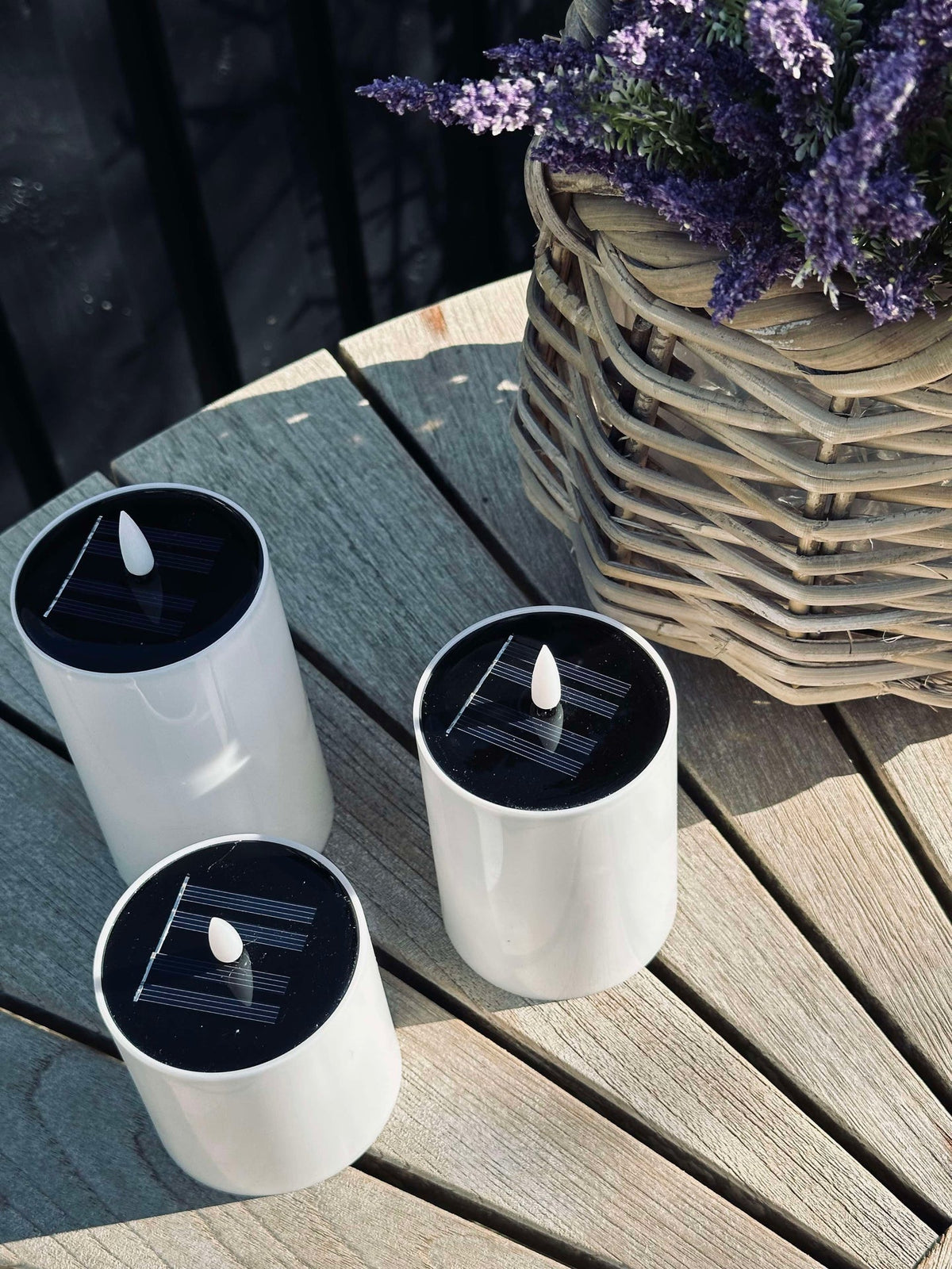 Bougies Bloc Solar Bellis - Lot de 3 pièces