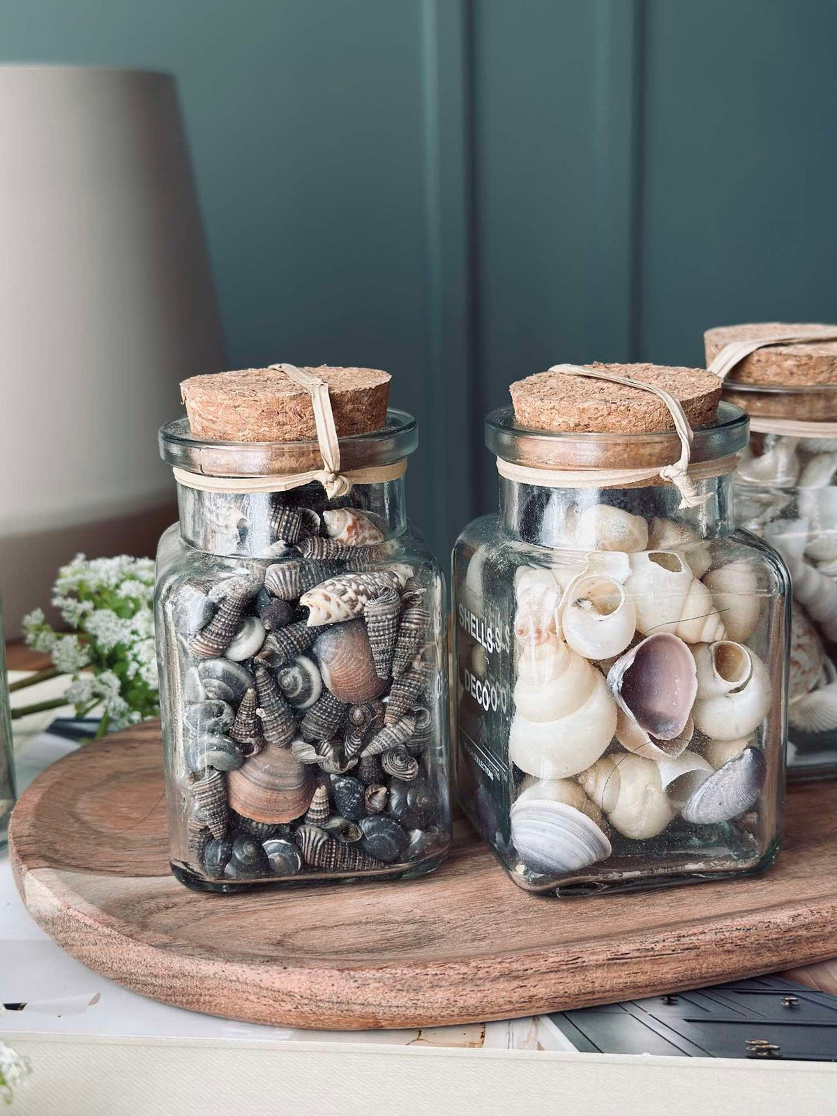 Coquillages de plage en verre - Mix