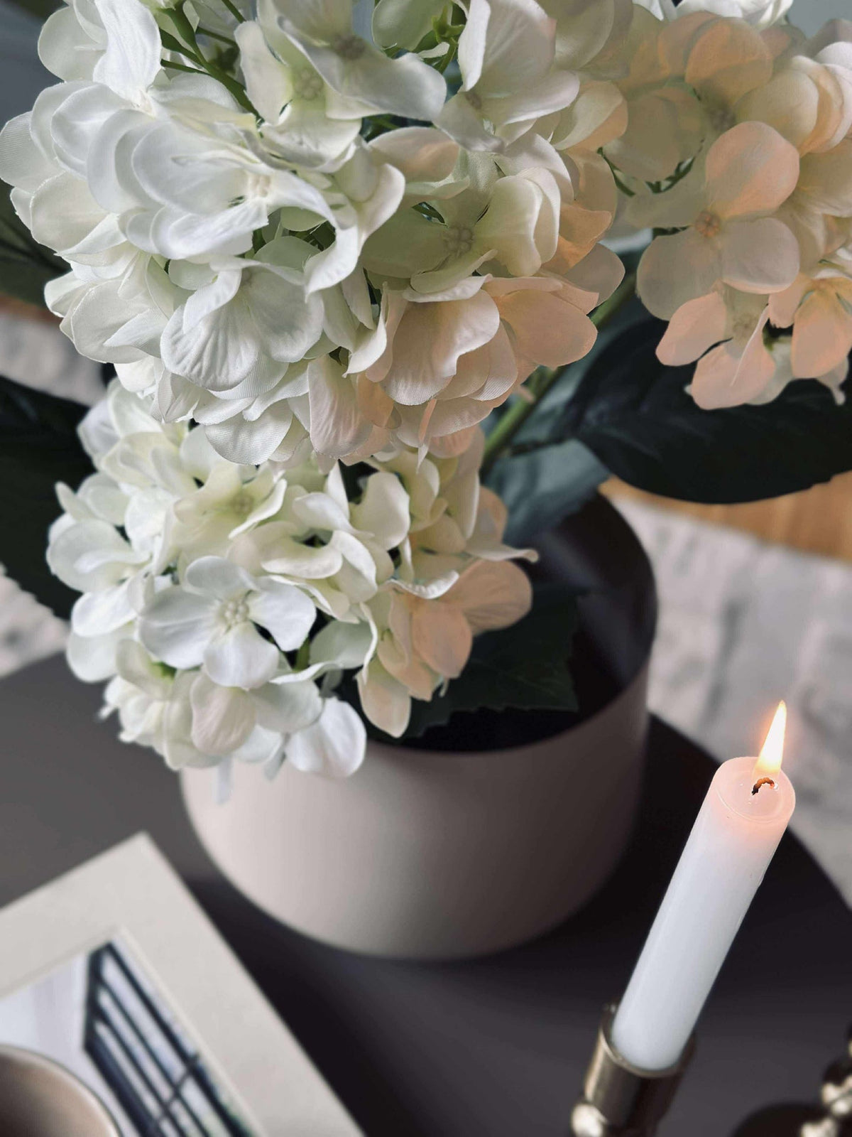 Hortensia en pot - Blanche