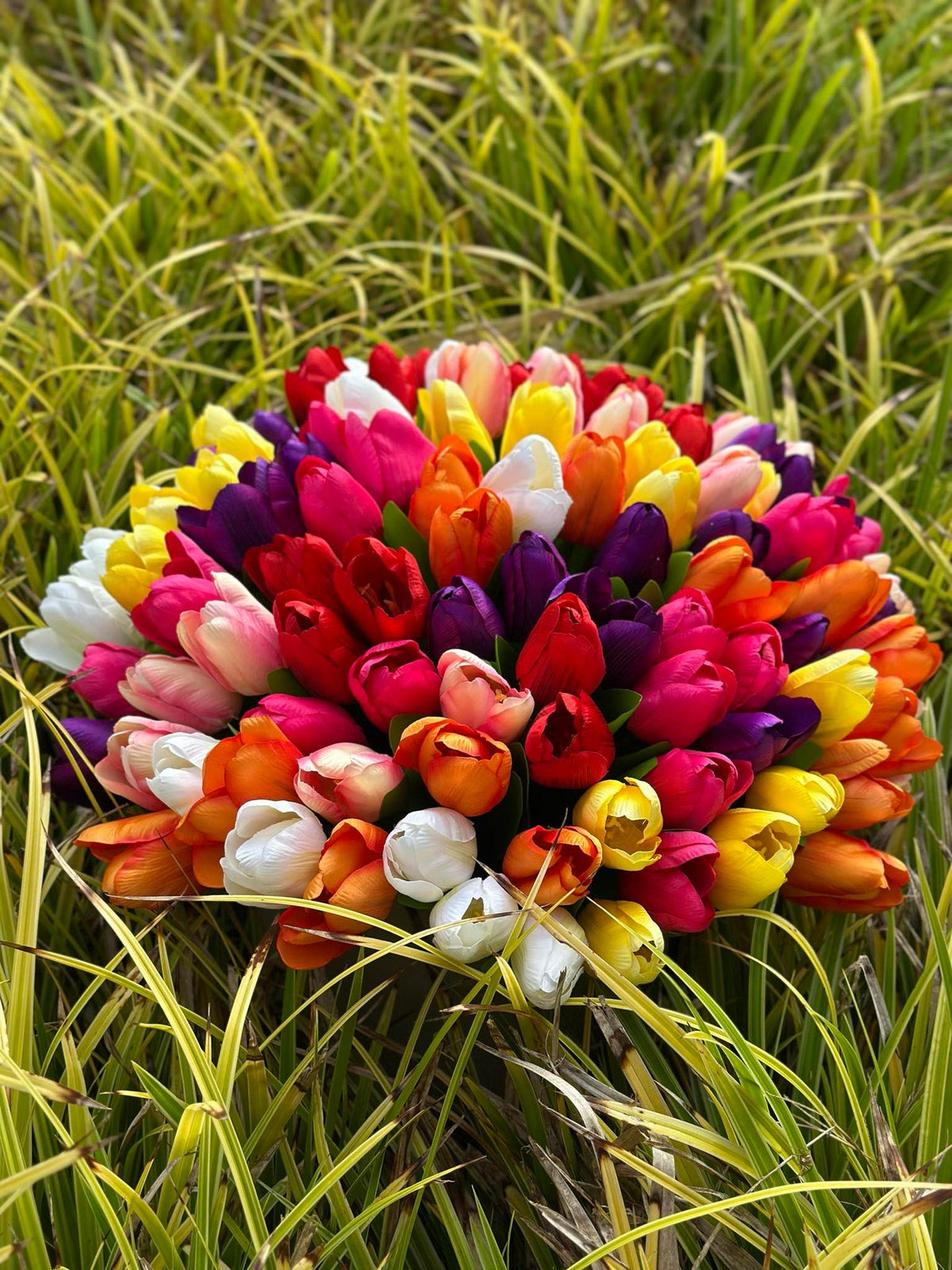 Tulipes effet soie– Plusieurs couleurs