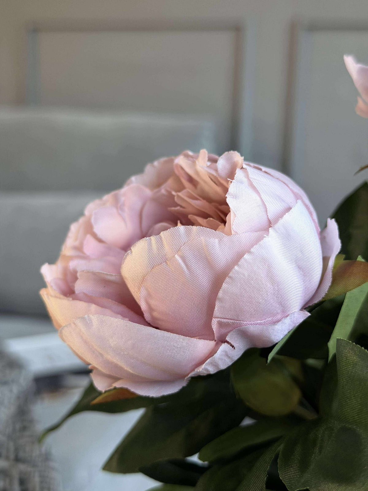 Pivoine en pot - Rose