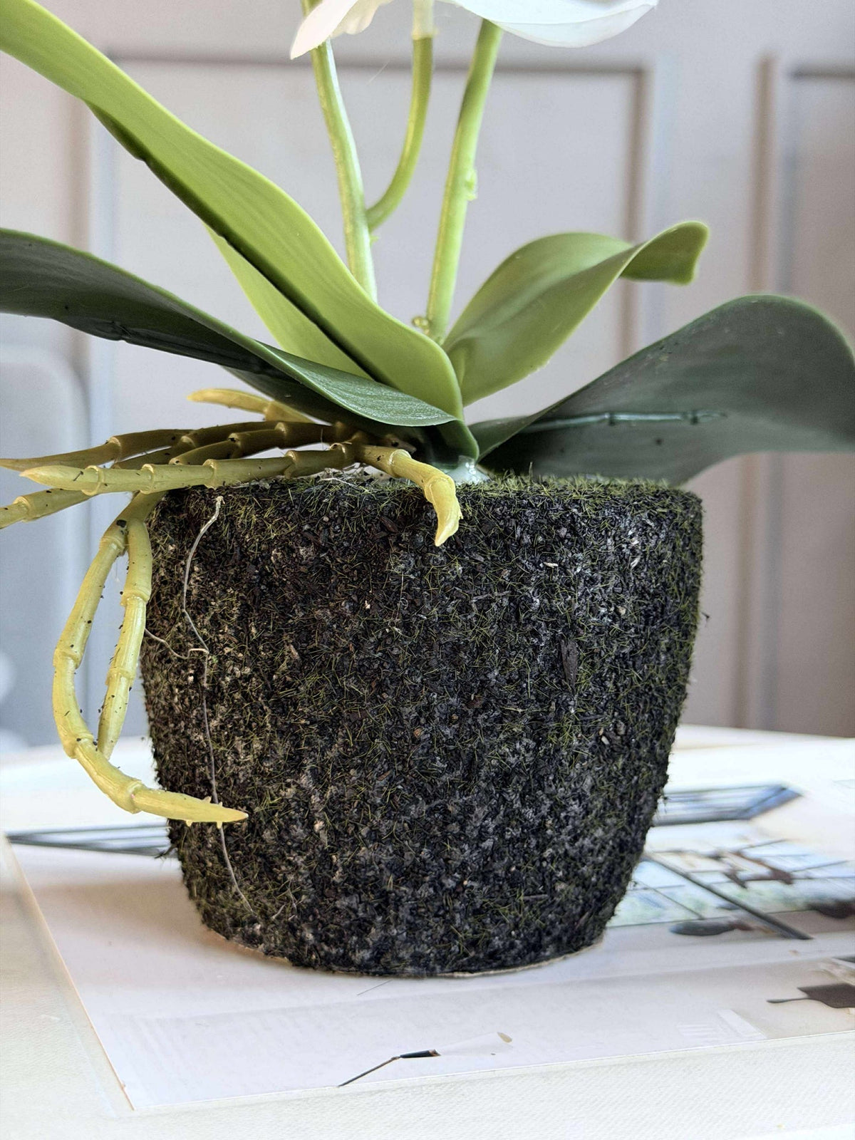 Boule de mousse orchidée