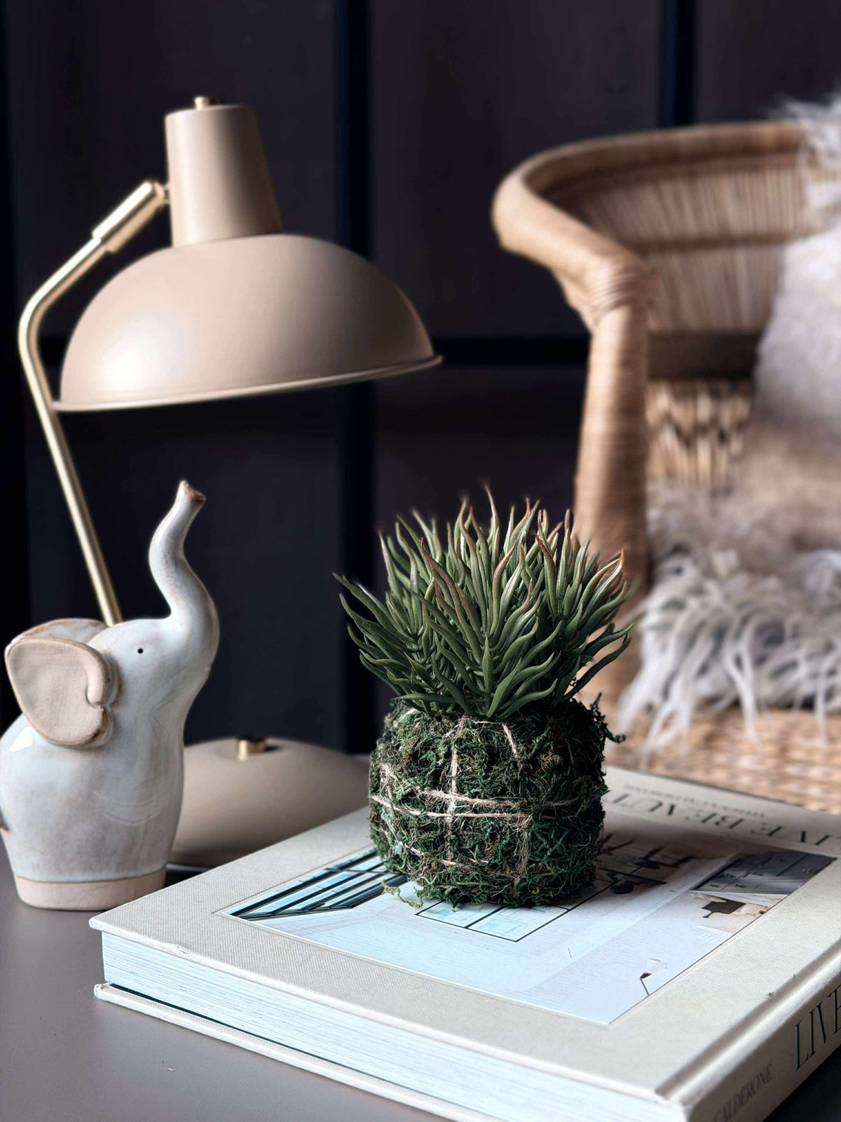Fleur succulente boule de mousse