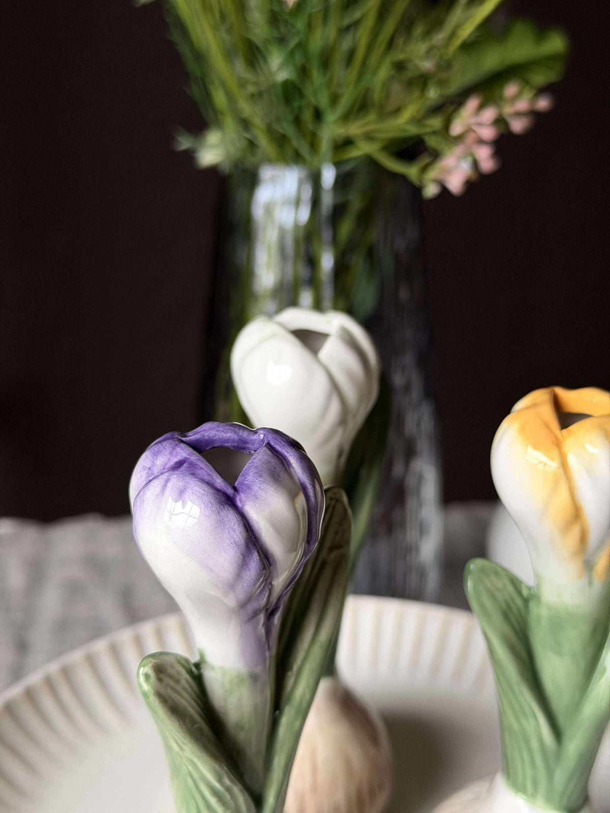 Crocus - 3 couleurs