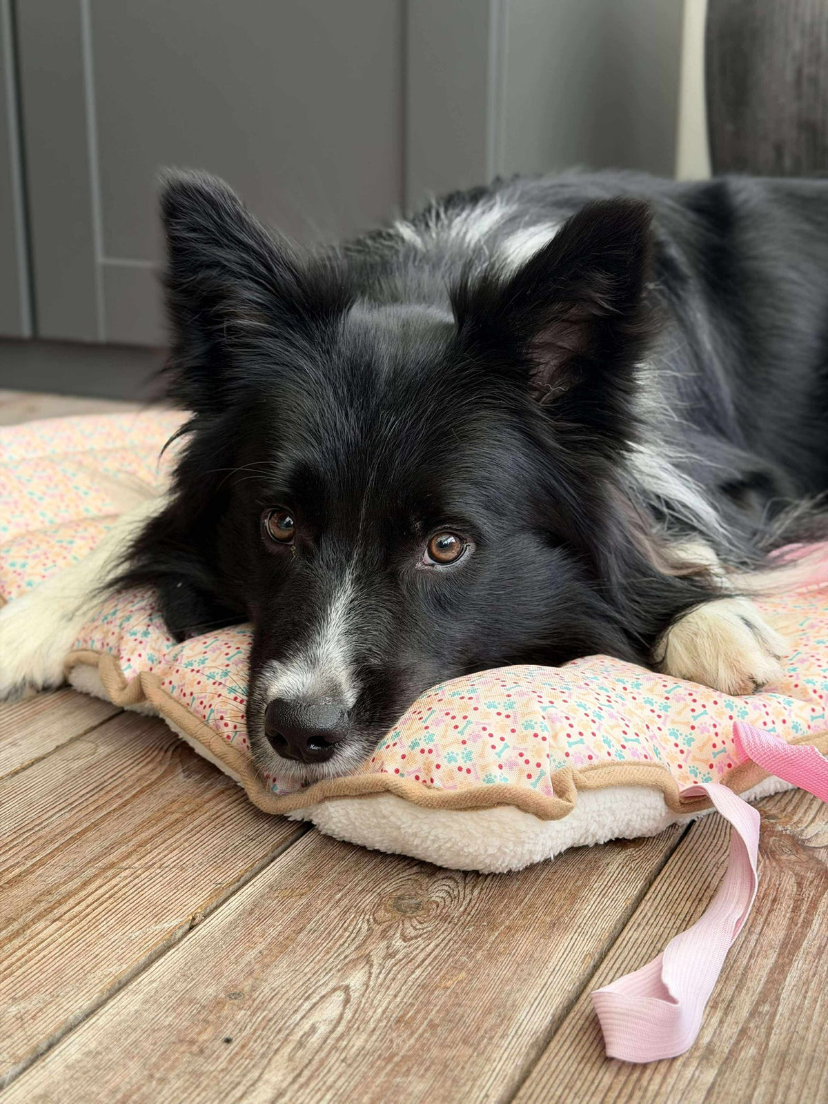 Couverture pour chien - Pliable