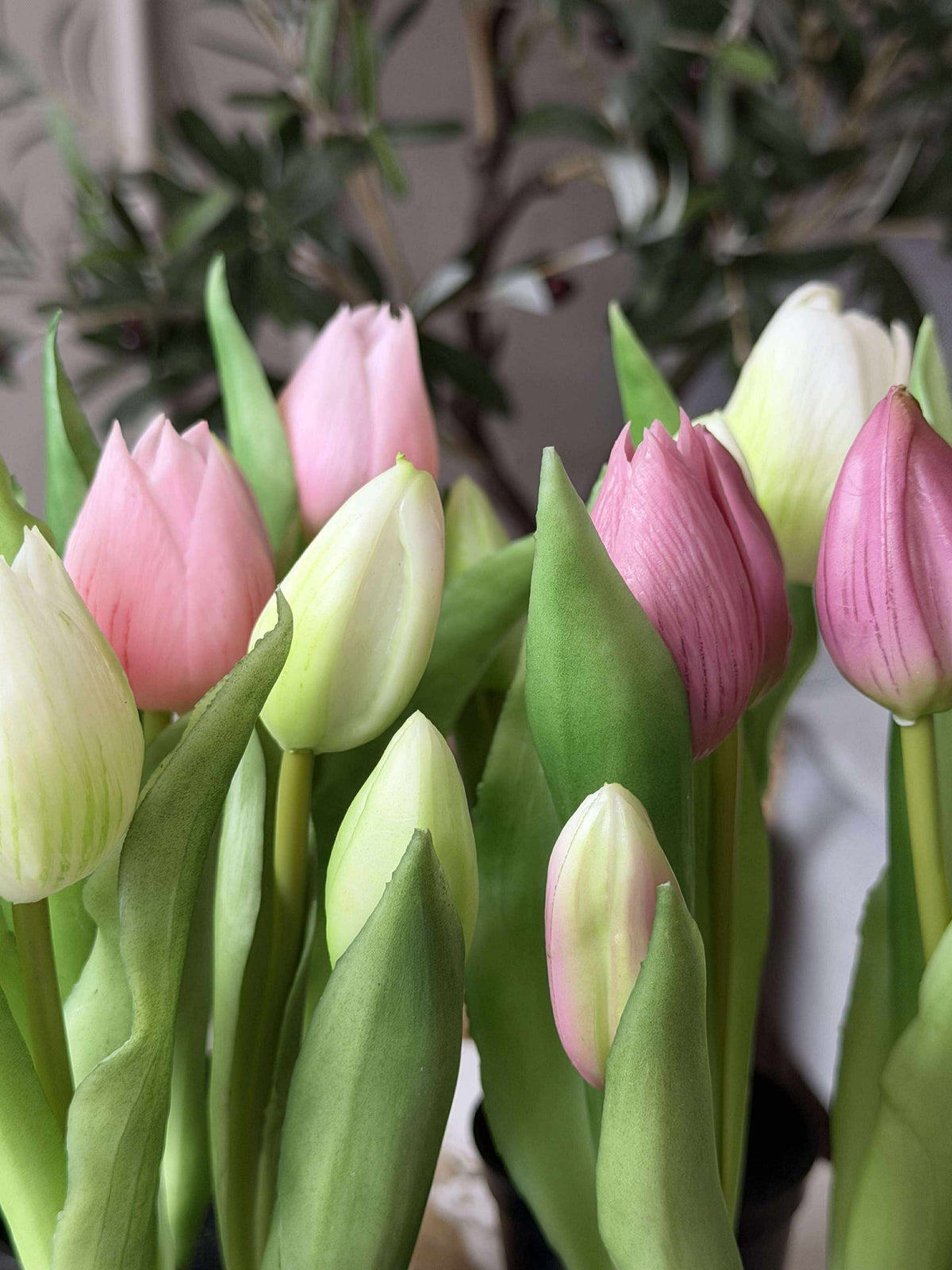 Tulipe en pot - Blanche Avec 3 Fleurs
