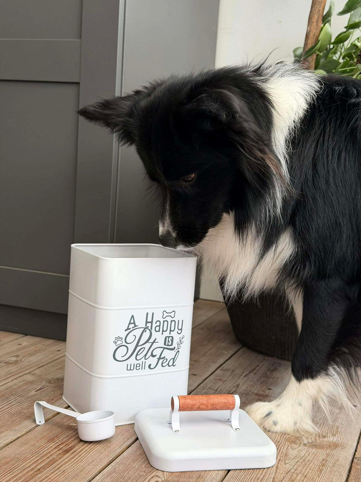 Rangement pour aliments pour animaux