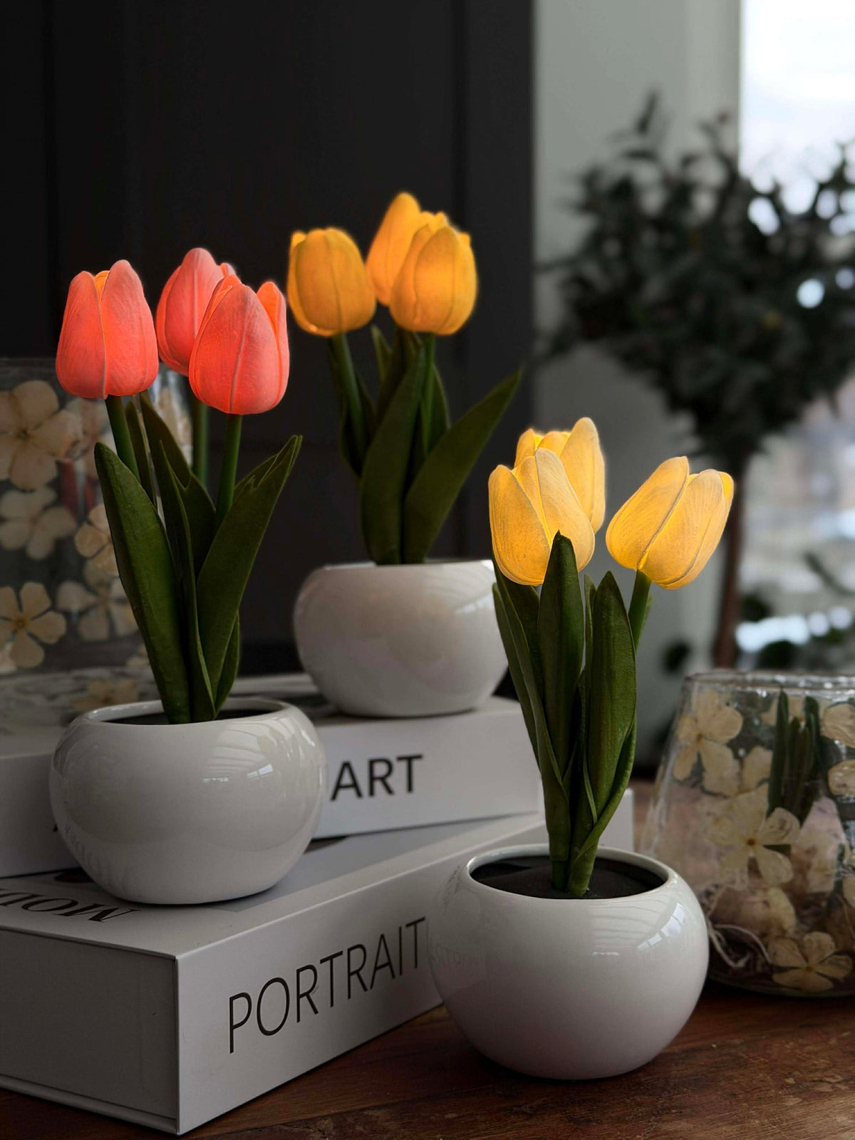 Tulipes avec lumière - Blanc