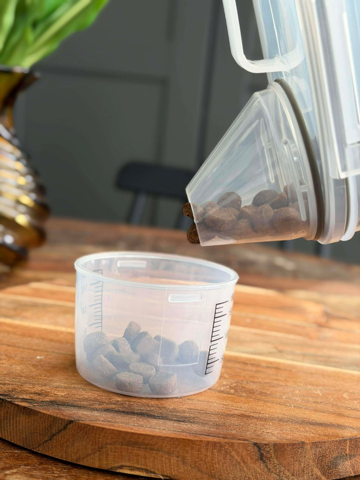 Boîte avec gobelet doseur pour aliments pour animaux