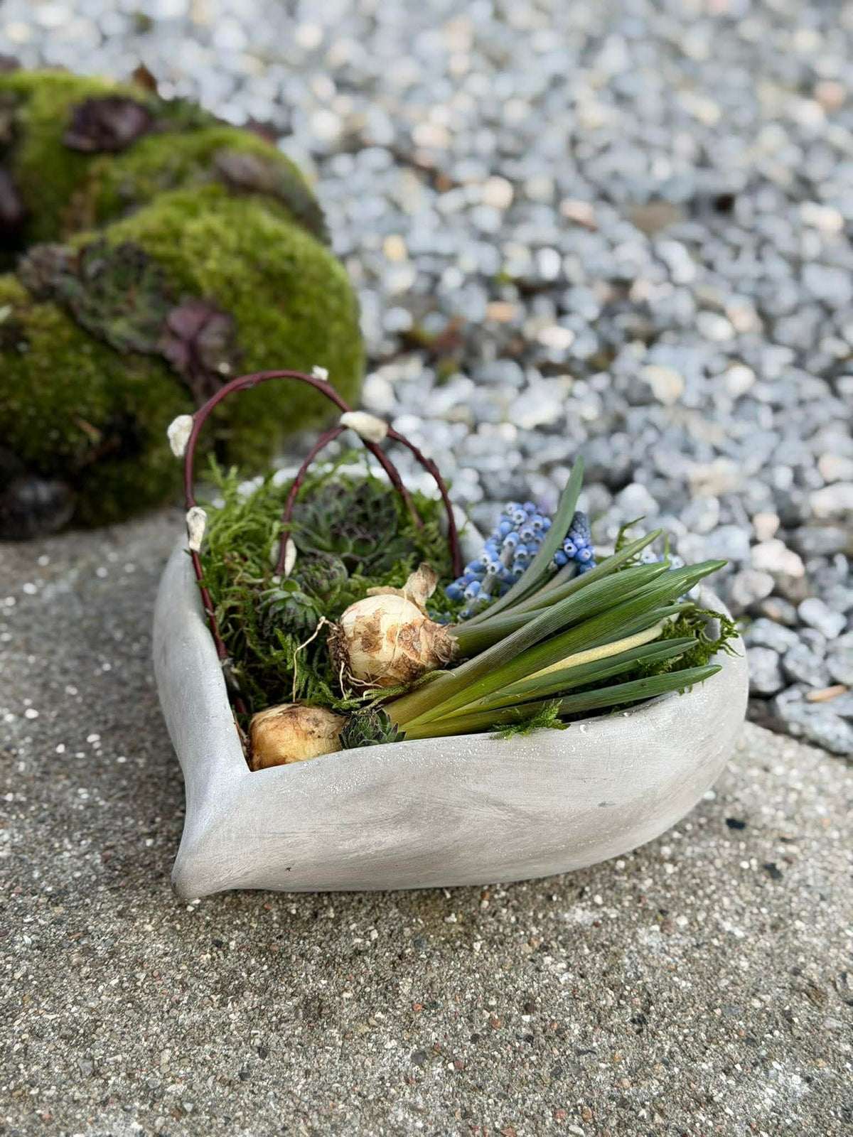 Cœur à planter