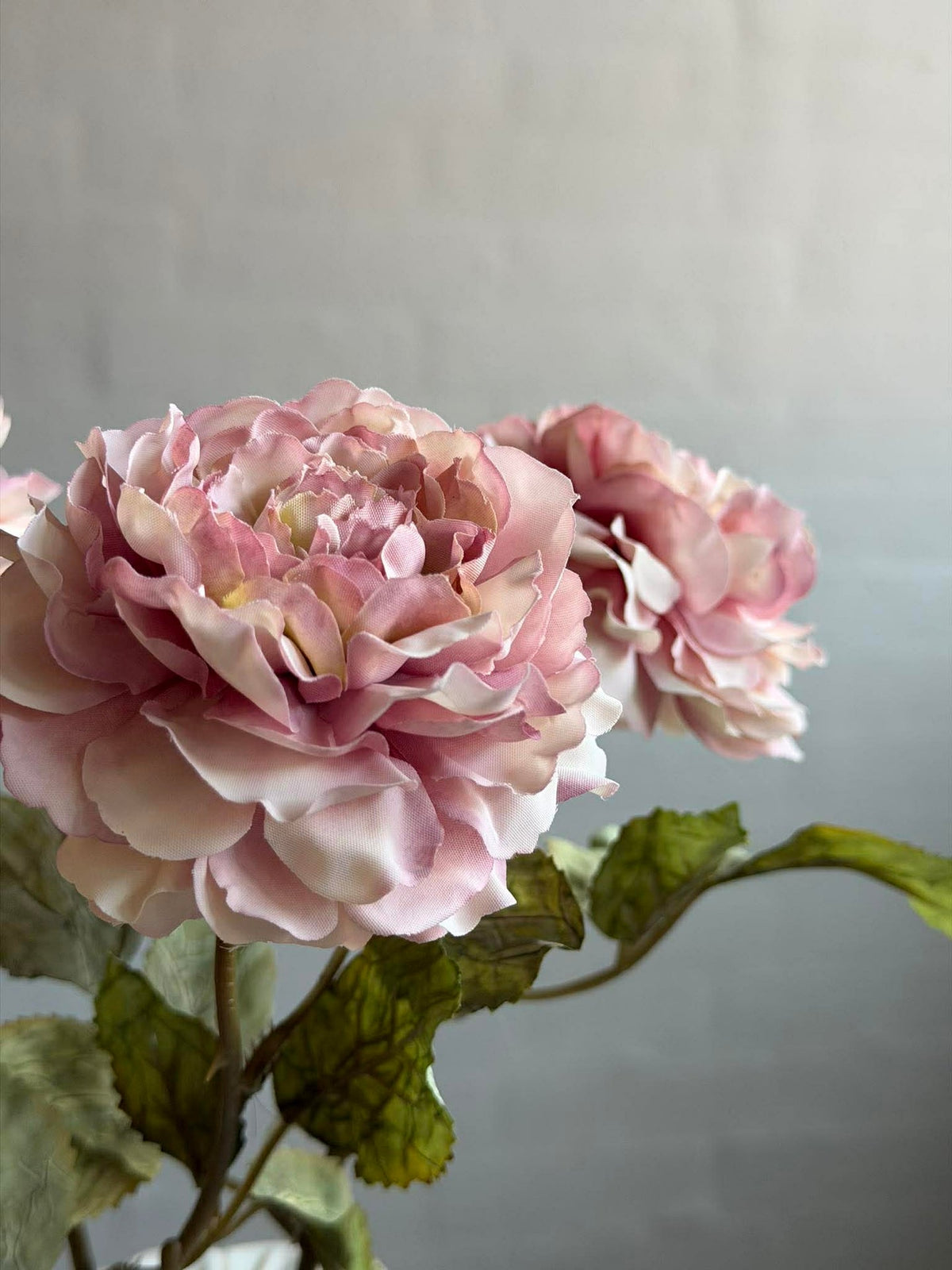 Rose 38 cm – rose poudré