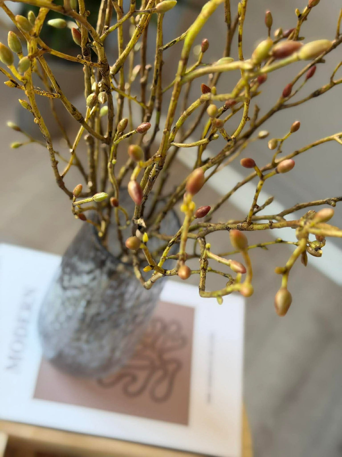 Branche à bourgeons - Bouquet de 3 branches