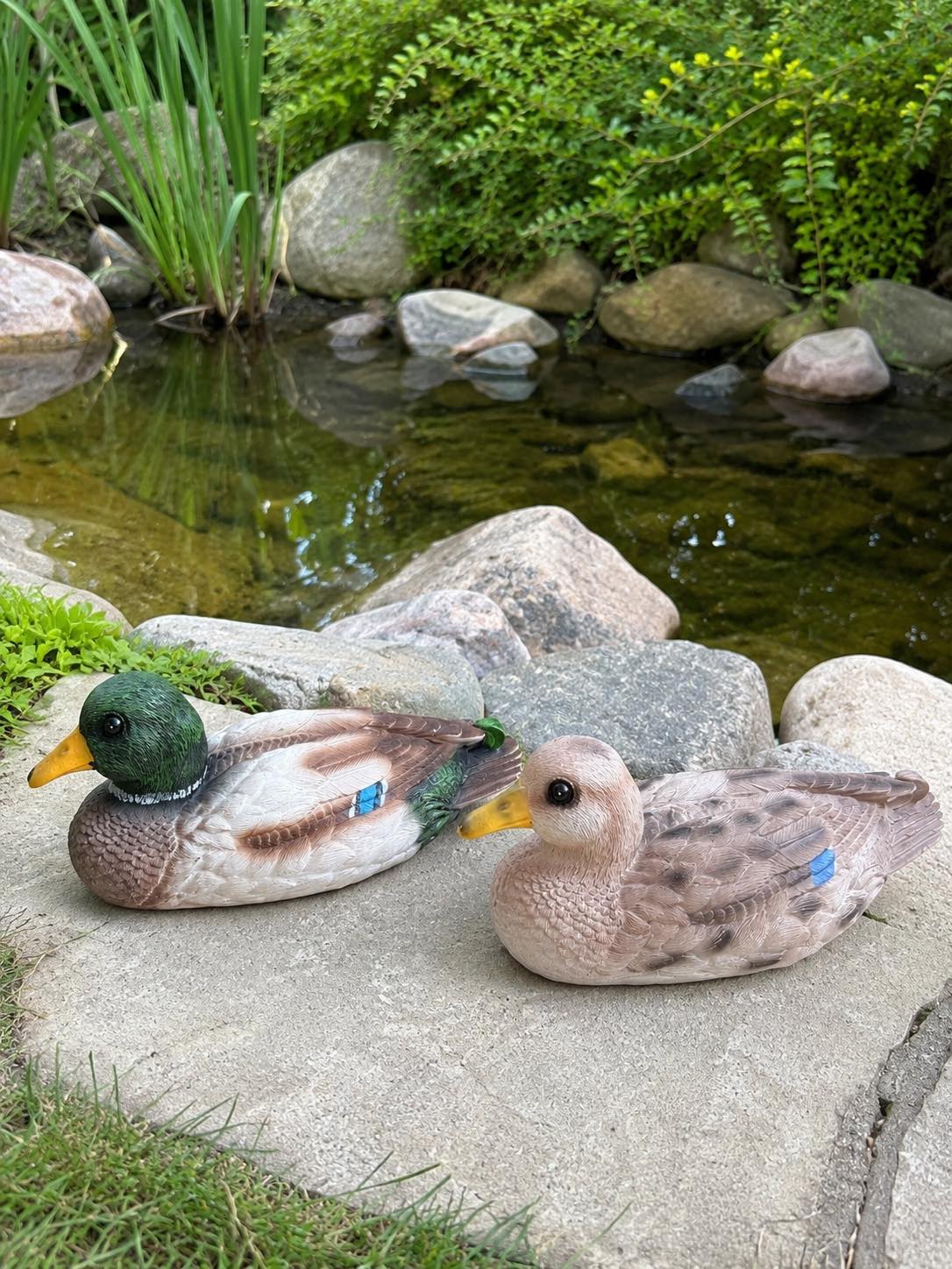 Canard flottant pour décoration de jardin - Mix