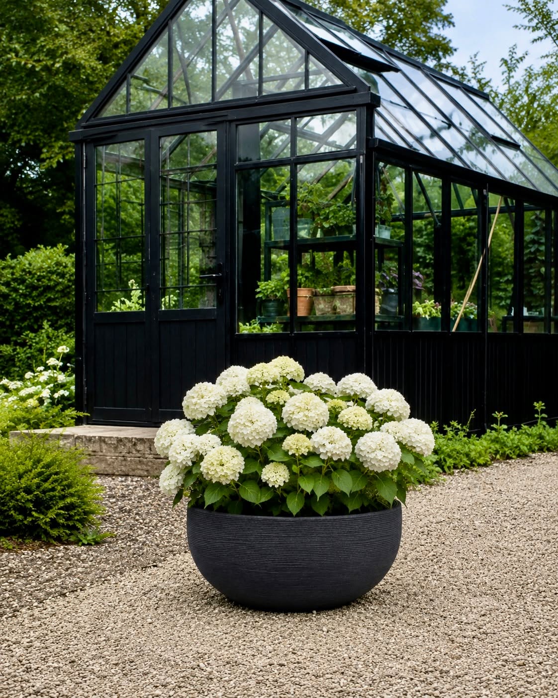Bassine miroir black garden