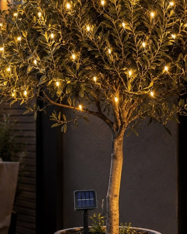 Filet guirlande solaire à 60 LED