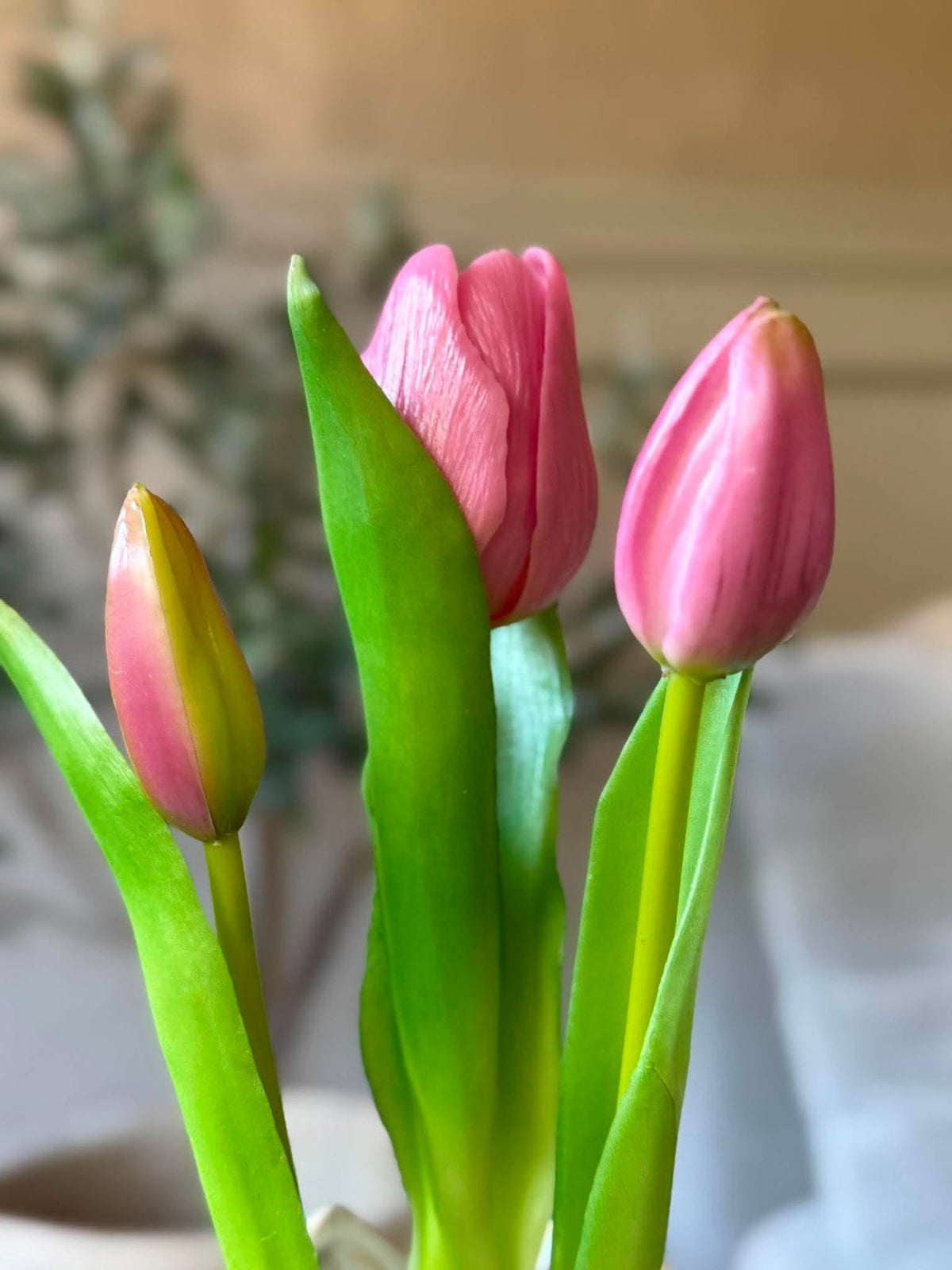Tulipe en pot - Rose avec 3 fleurs