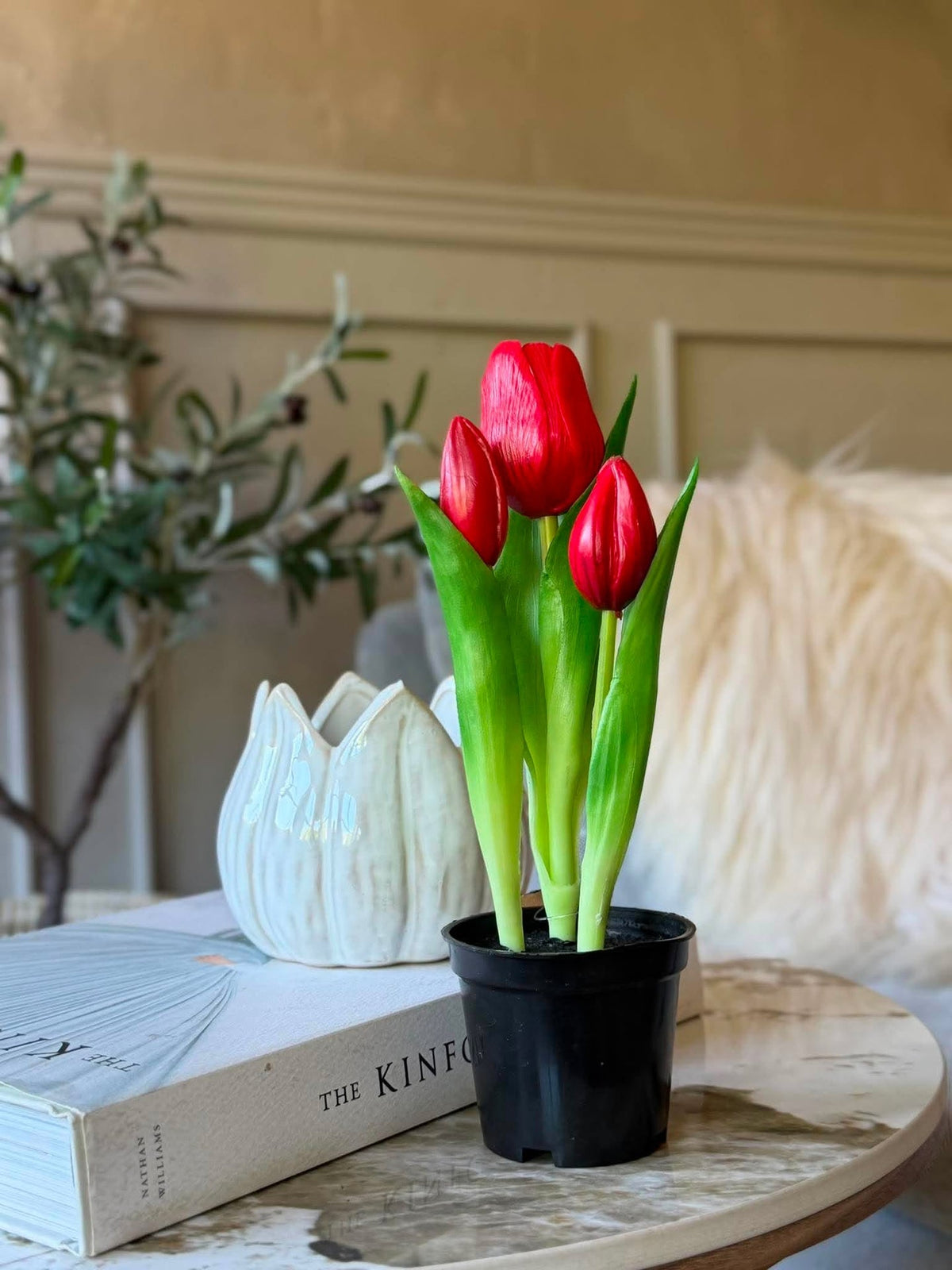Tulipe en pot - Rouge avec 3 fleurs