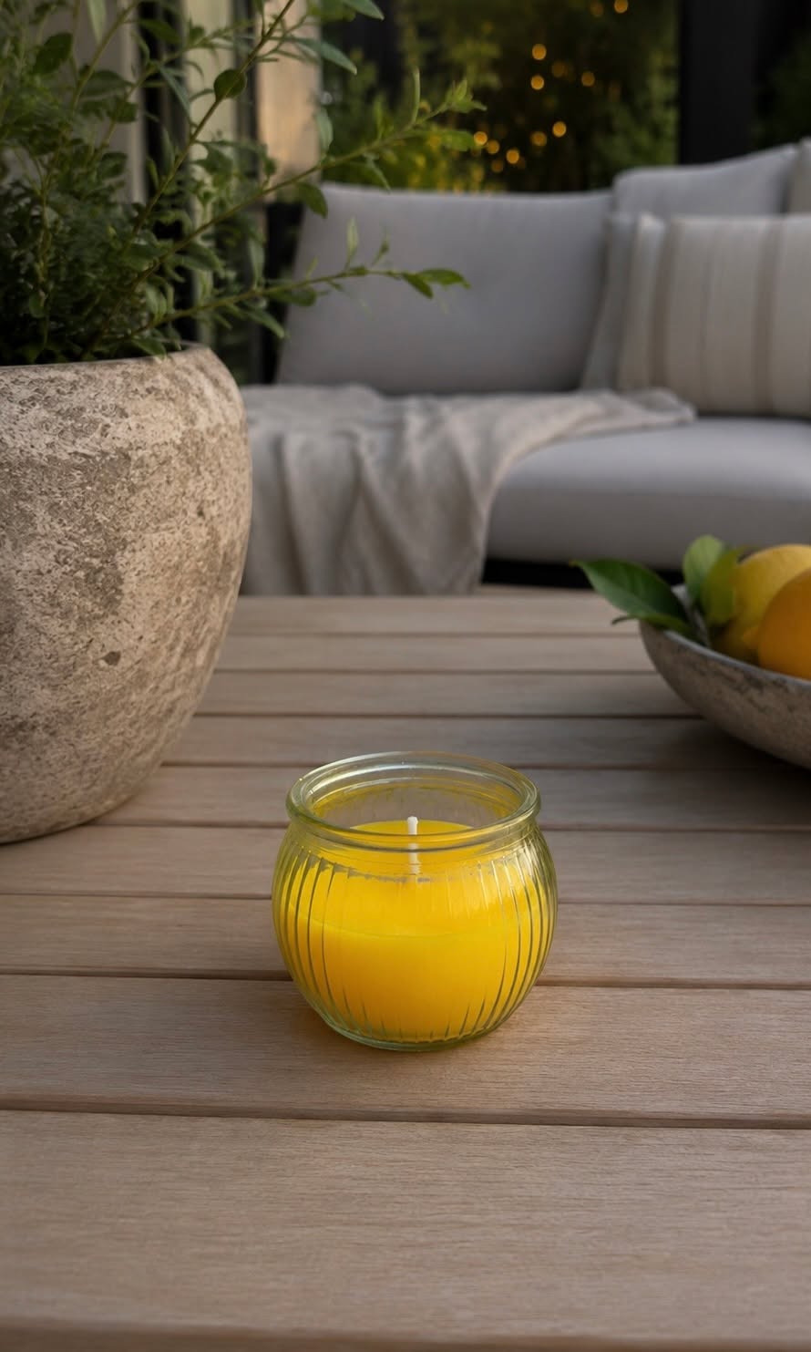 Citronnelle