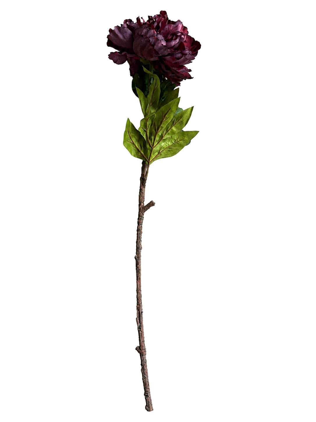 Tige de pivoine 72 cm - Bordeaux