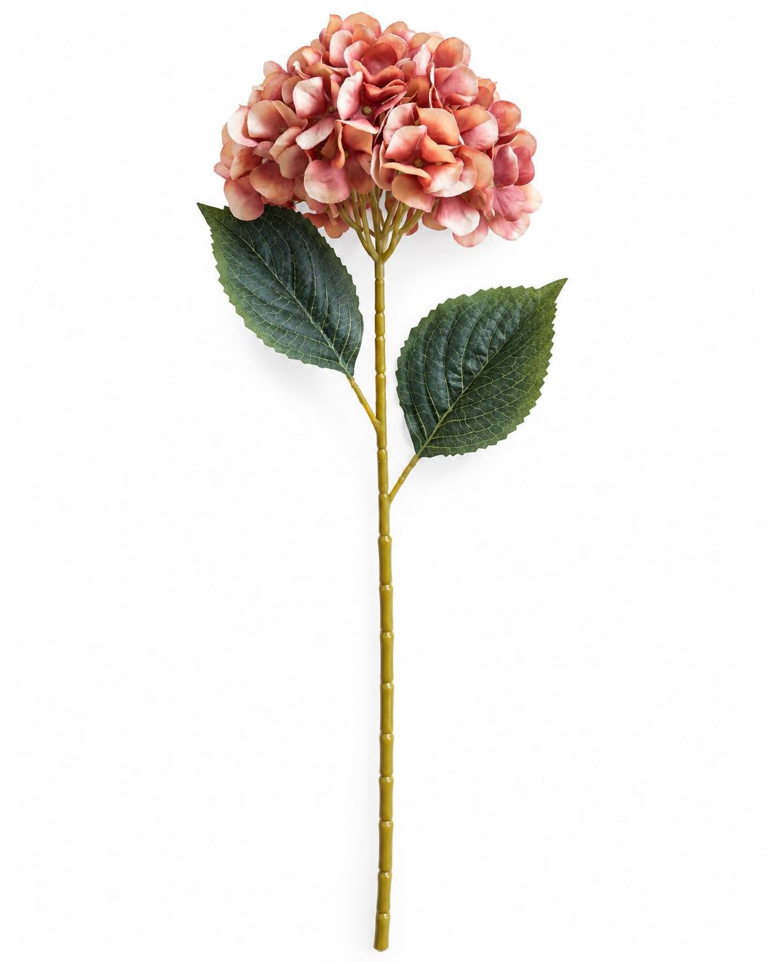 Hortensia couleurs brûlées - Mix