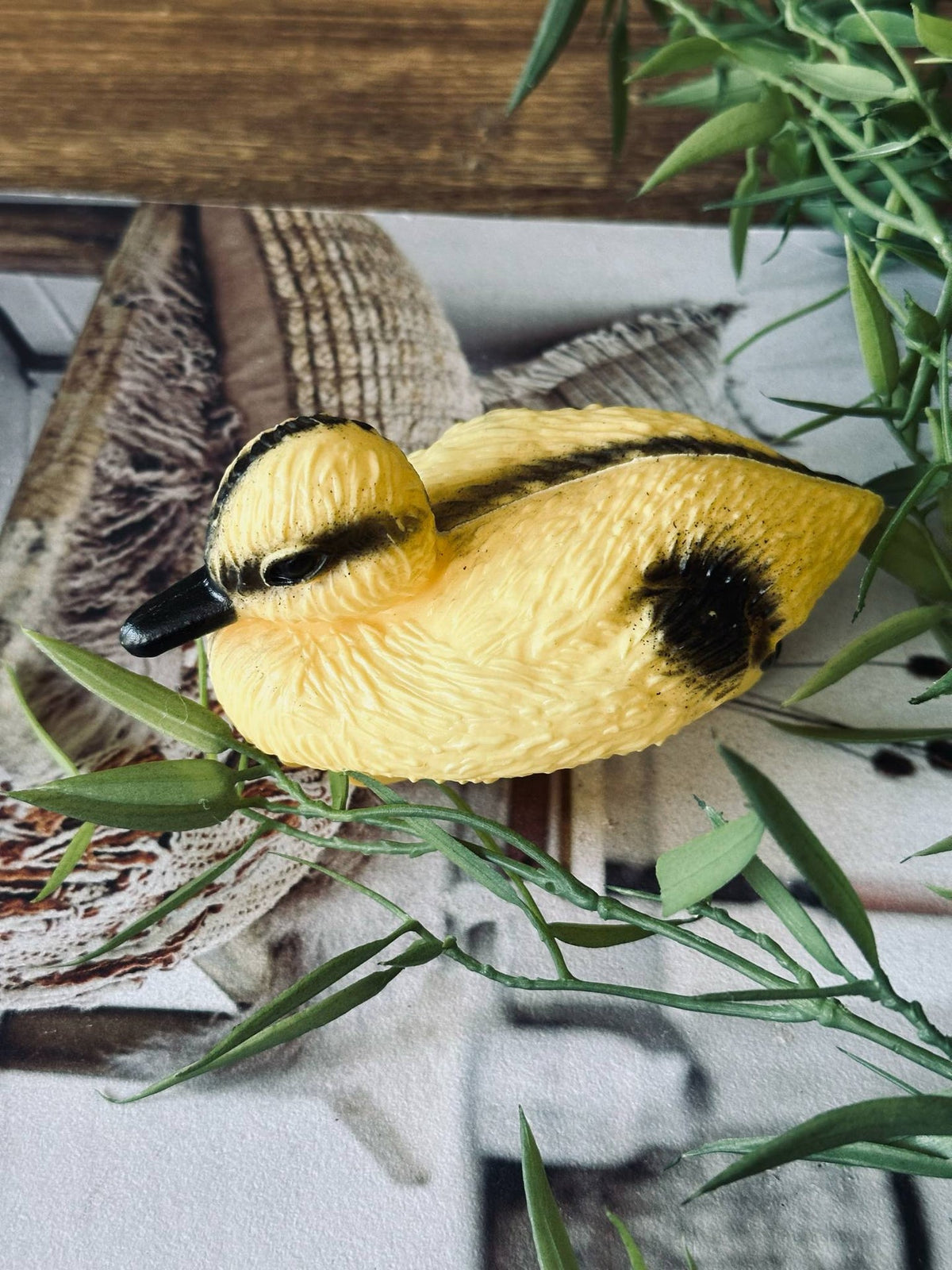 Canard flottant pour la décoration du jardin
