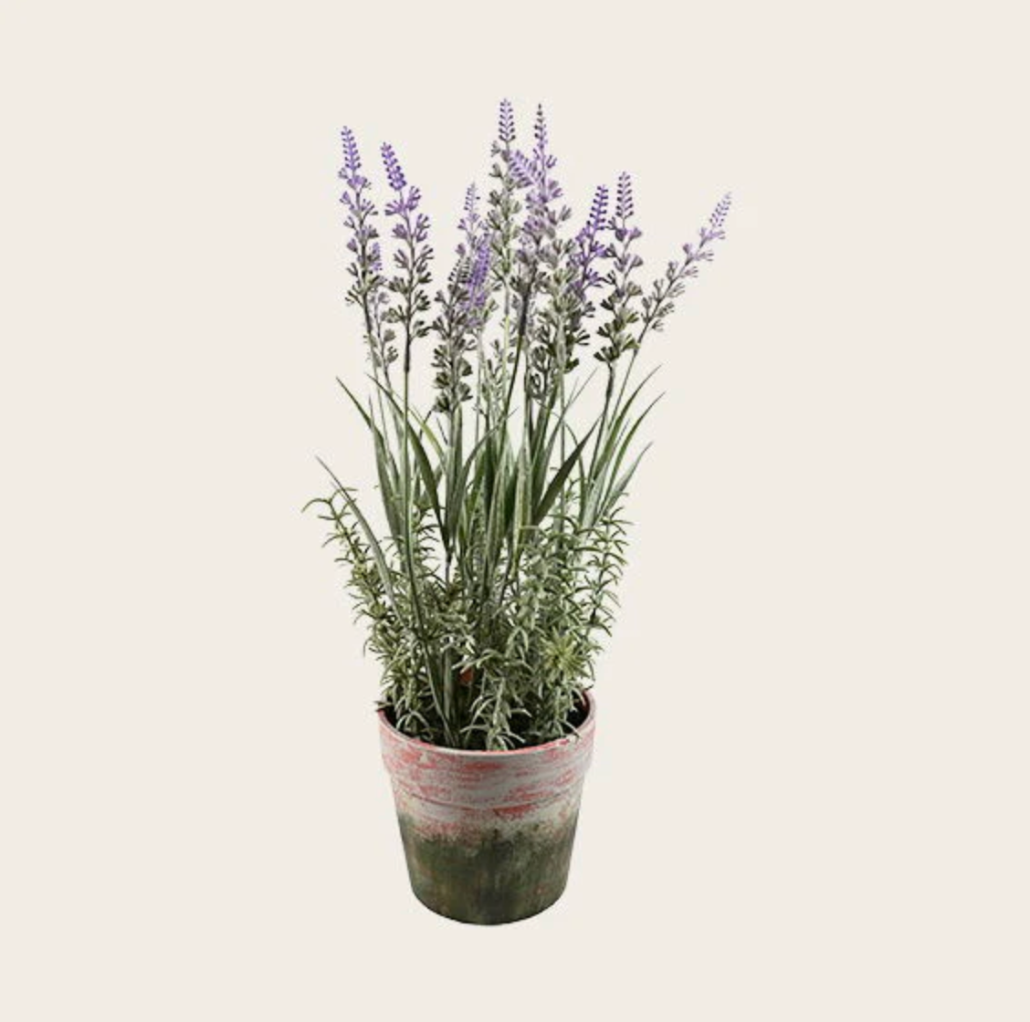 Fleur en pot