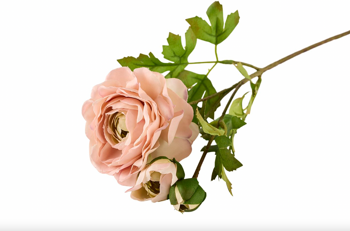 Renoncule 50 cm - Rose