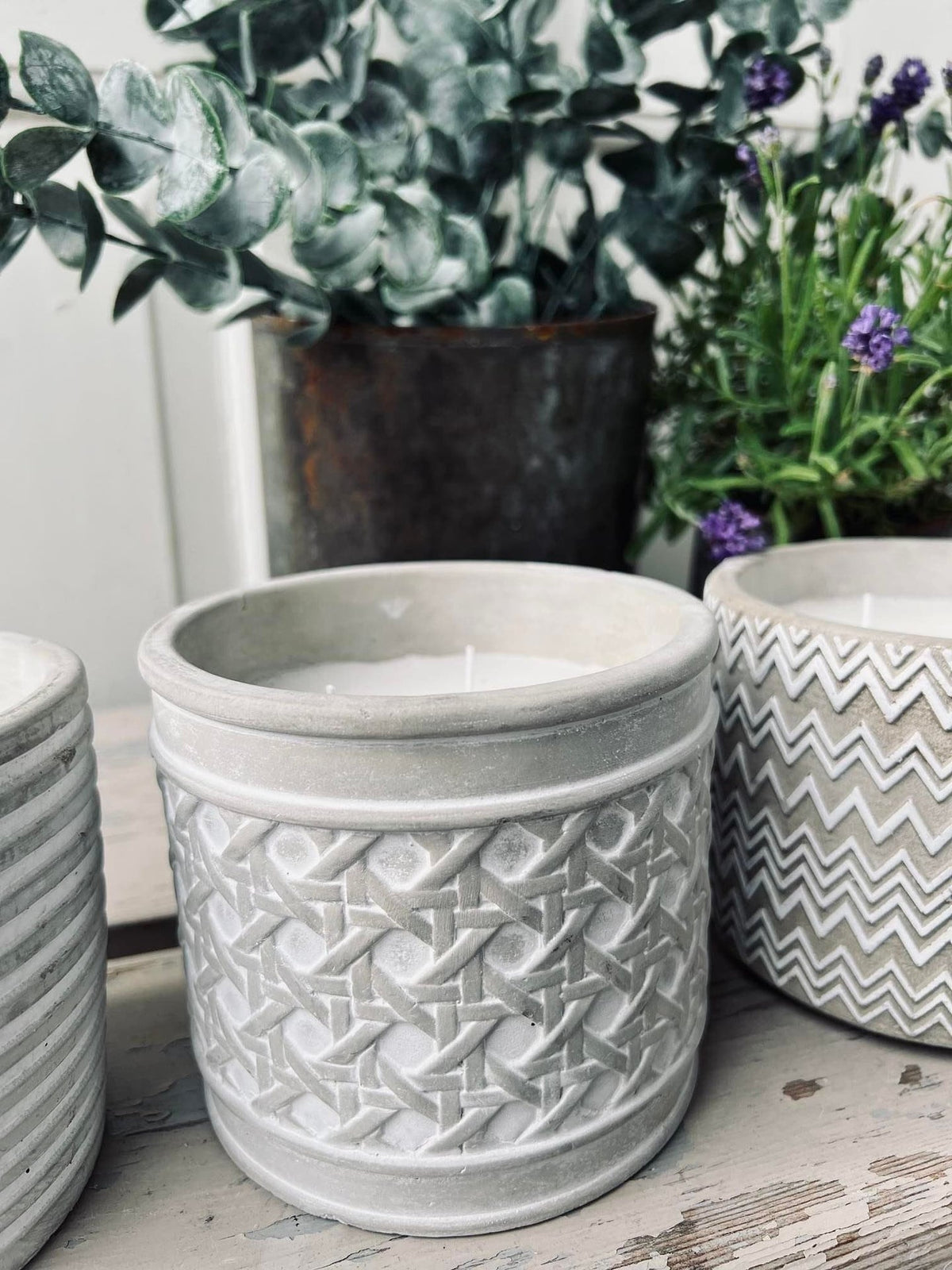 Myggelys i cement potte - Citronella mix - VIAMAJA.DK