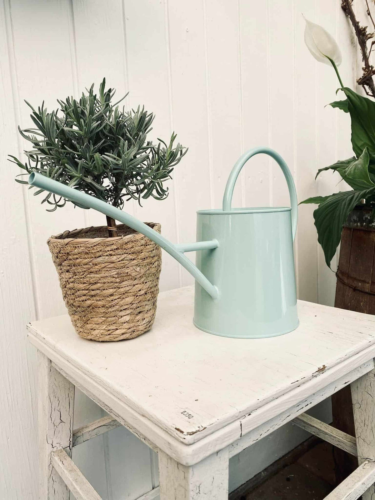 Vandkande – Lys blå pastel 1.5 Liter - VIAMAJA.DK