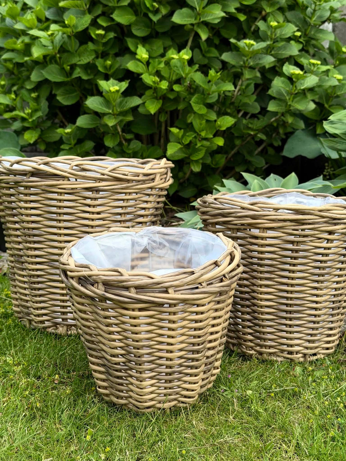 Corbeilles à plantes naturelles - 3 pcs