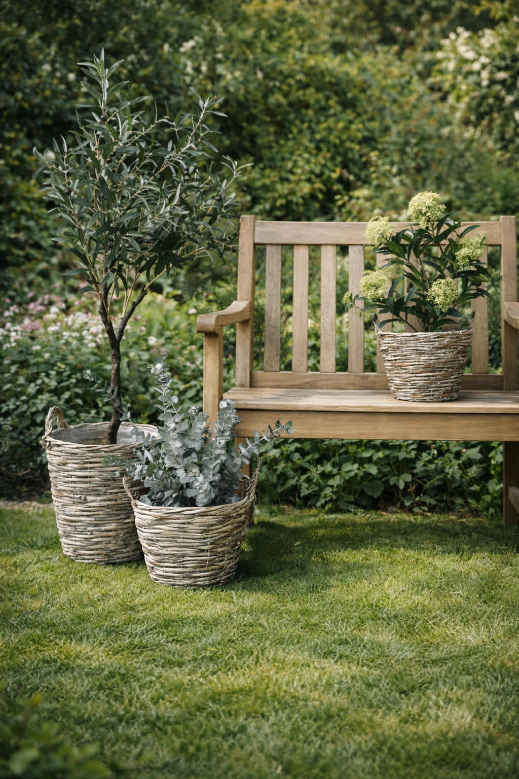 Paniers pour plantes  – Lot de 3 tailles