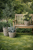 Paniers pour plantes  – Lot de 3 tailles