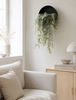 Plante suspendue - Mint XL