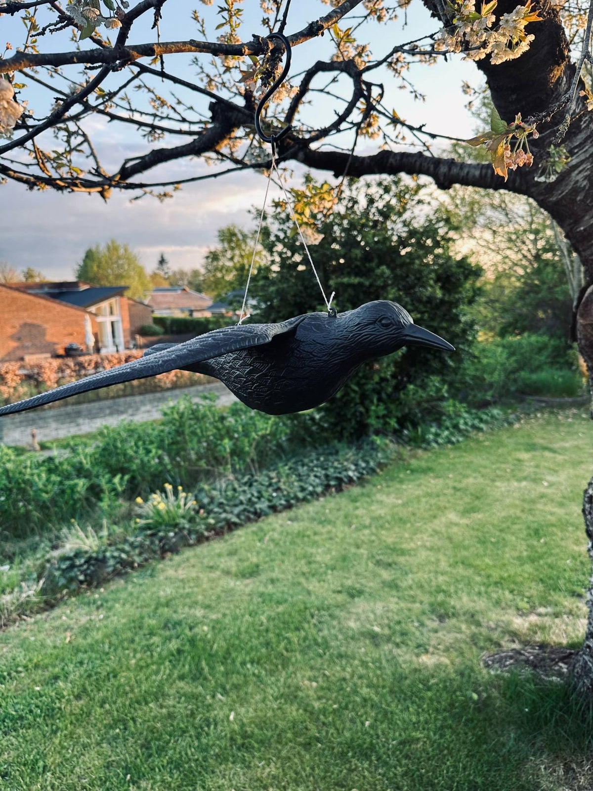 Oiseau - RAVEN BLACK