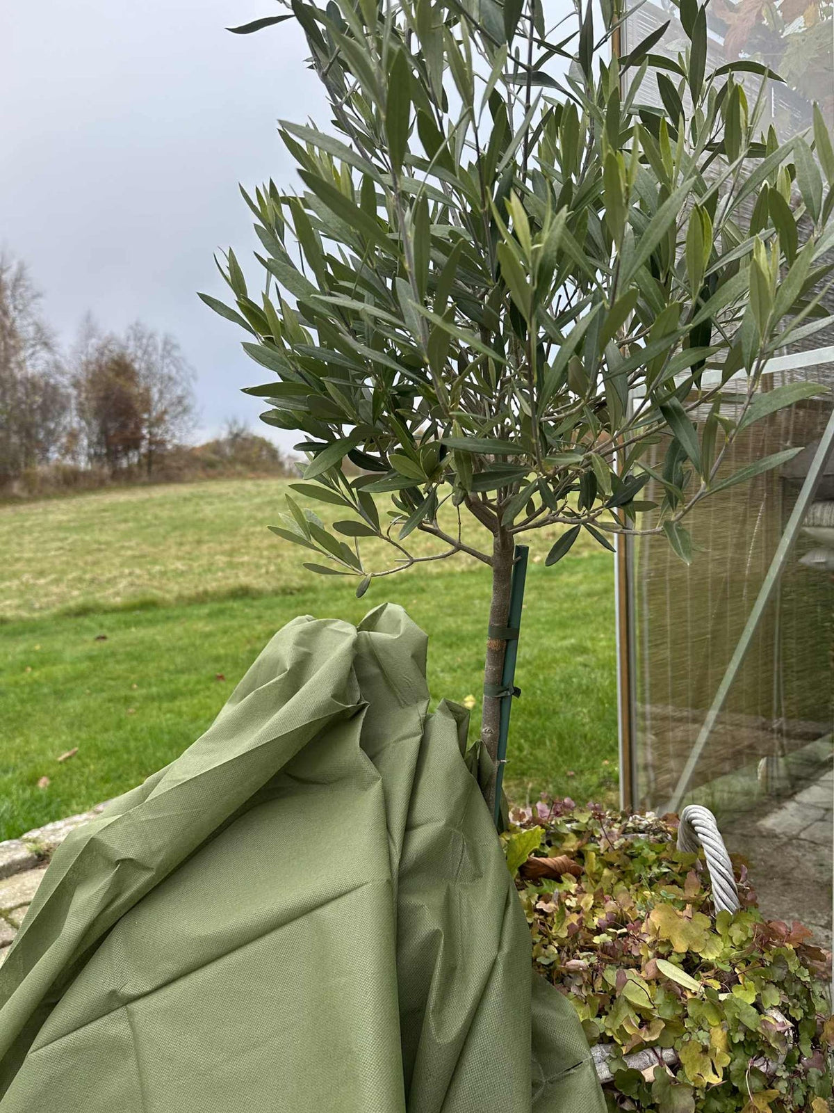 Protection des plantes - 10 mètres