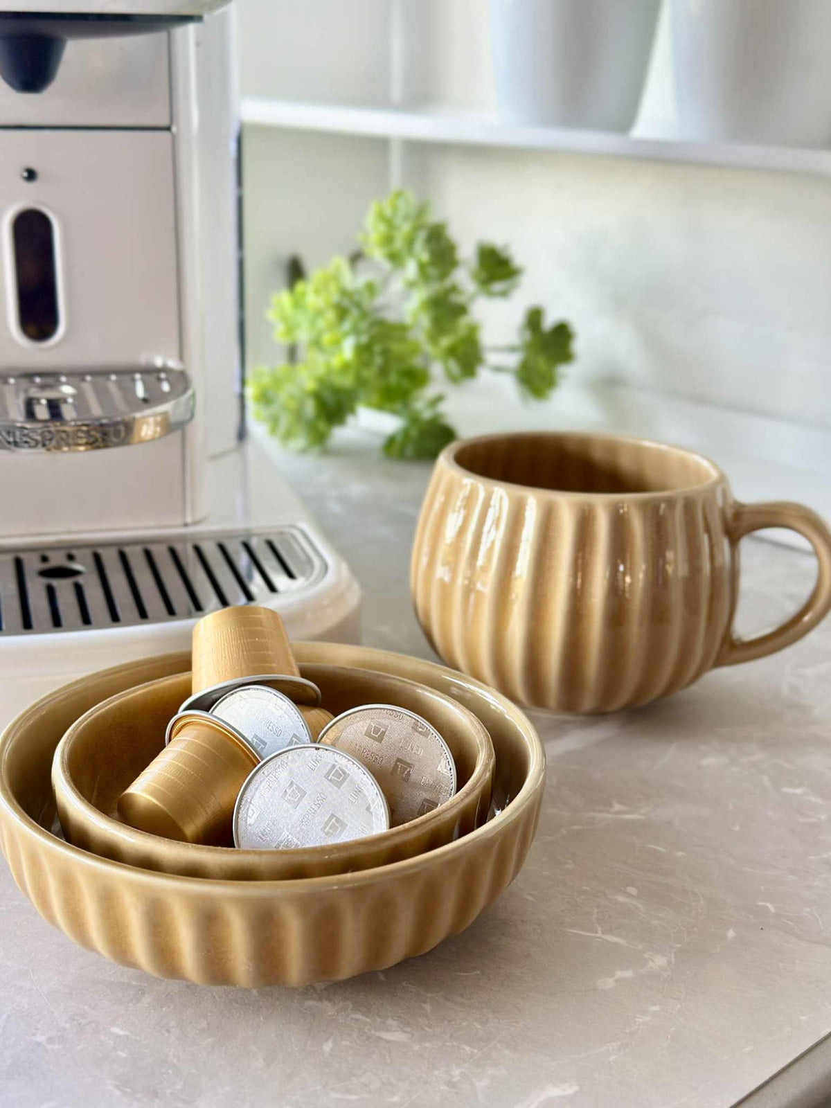 Tasse VIGA Rayures - Moutarde