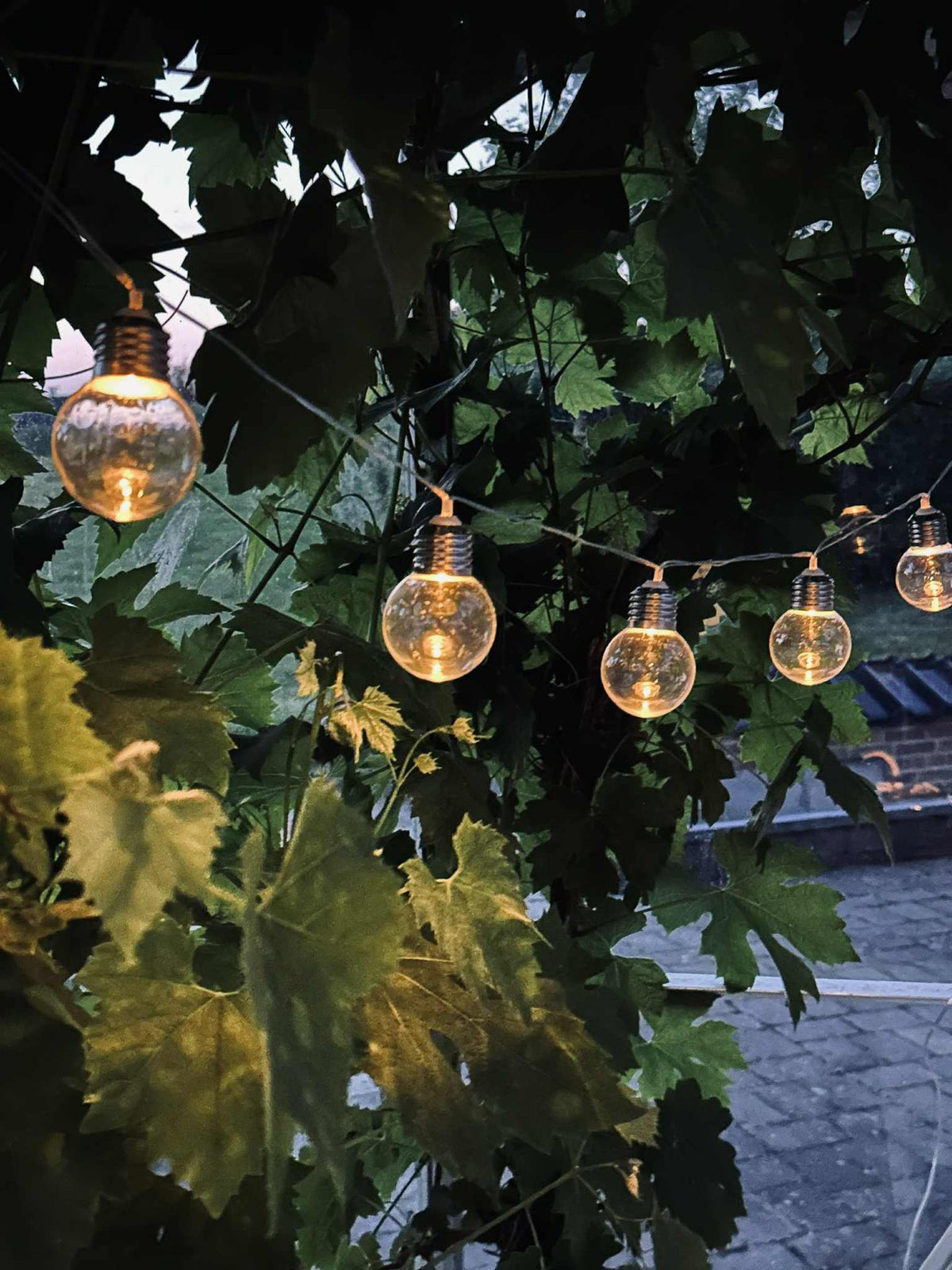 Guirlande lumineuse Laura à énergie solaire - Extérieur avec 10 et 20 lumières