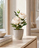 Rose en pot - Blanche
