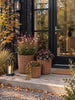 Paniers à plantes - Lot de 3 pièces