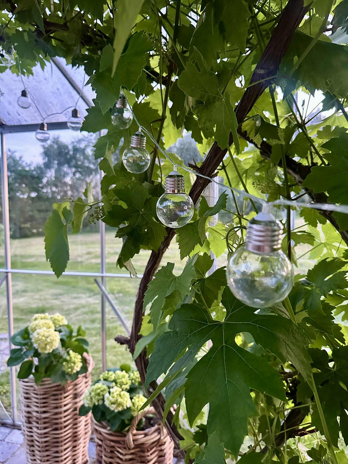 Guirlande lumineuse Laura à énergie solaire - Extérieur avec 10 et 20 lumières