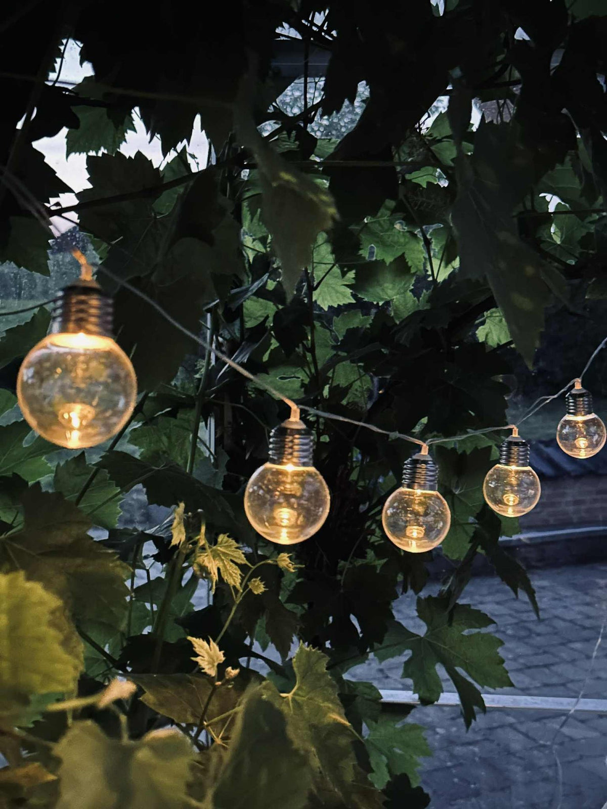 Guirlande lumineuse Laura à énergie solaire - Extérieur avec 10 et 20 lumières
