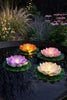Lotus avec solaire - Plusieurs couleurs