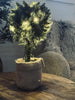 Sapin avec guirlande lumineuse - 36 cm.