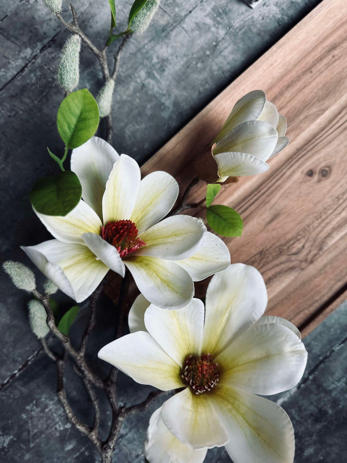 Fleur Magnolia - Blanc