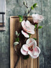 Fleur Magnolia - Rose