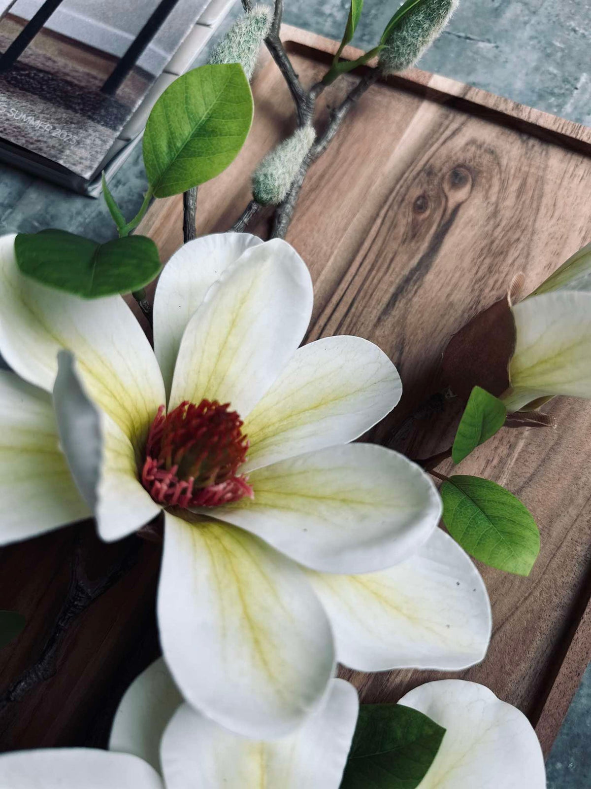 Fleur Magnolia - Blanc