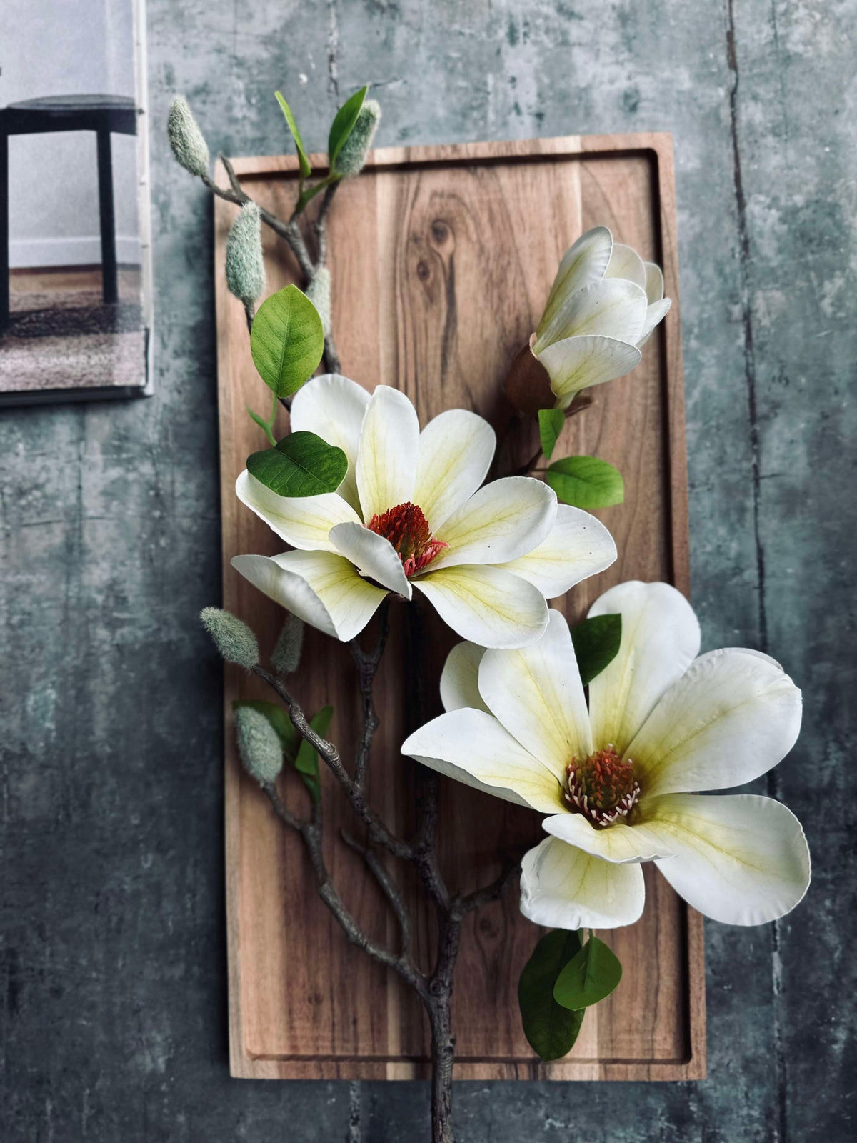 Fleur Magnolia - Blanc